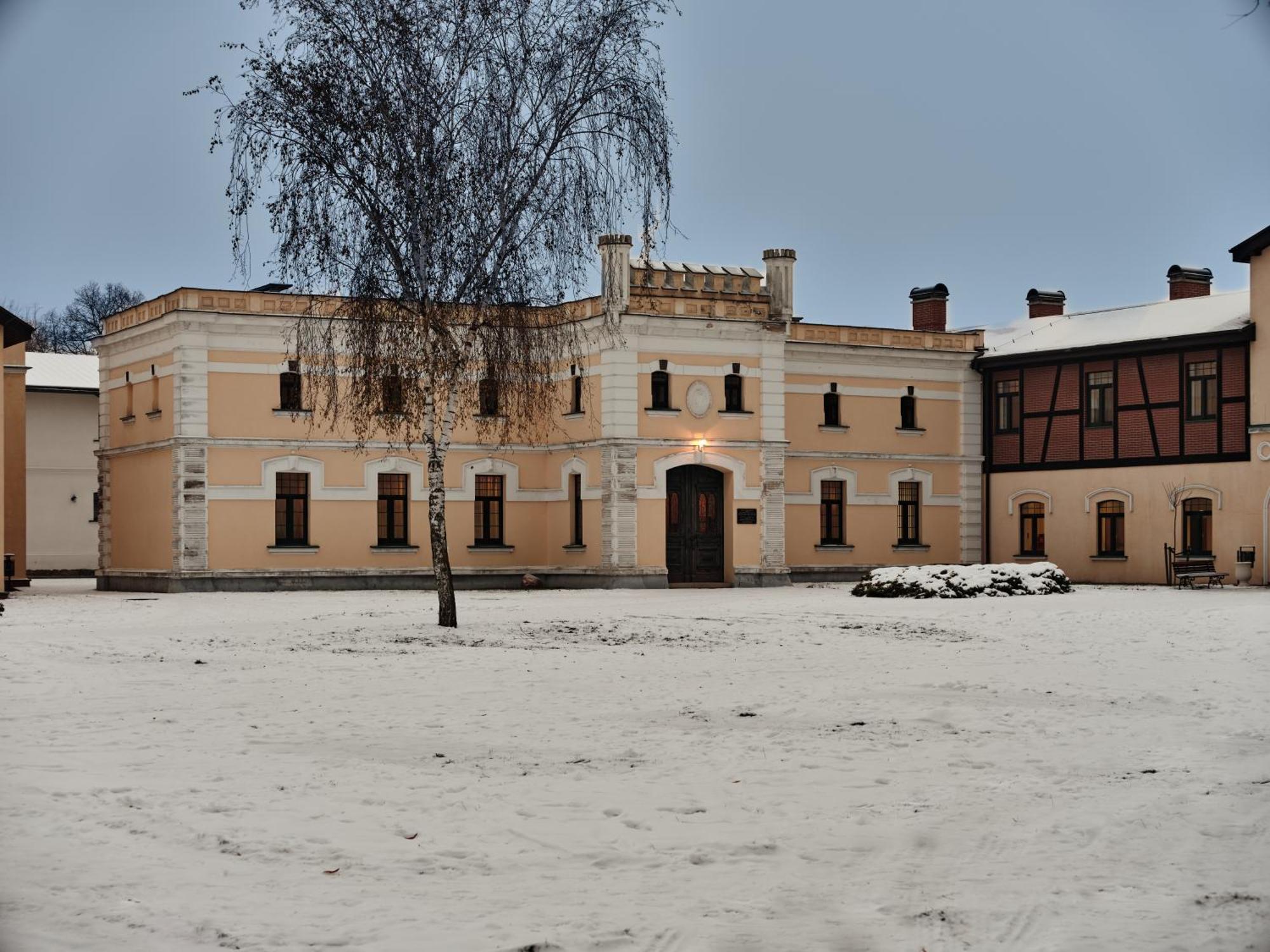 Palac Potockich W Bedlewie Bedlewo Екстериор снимка