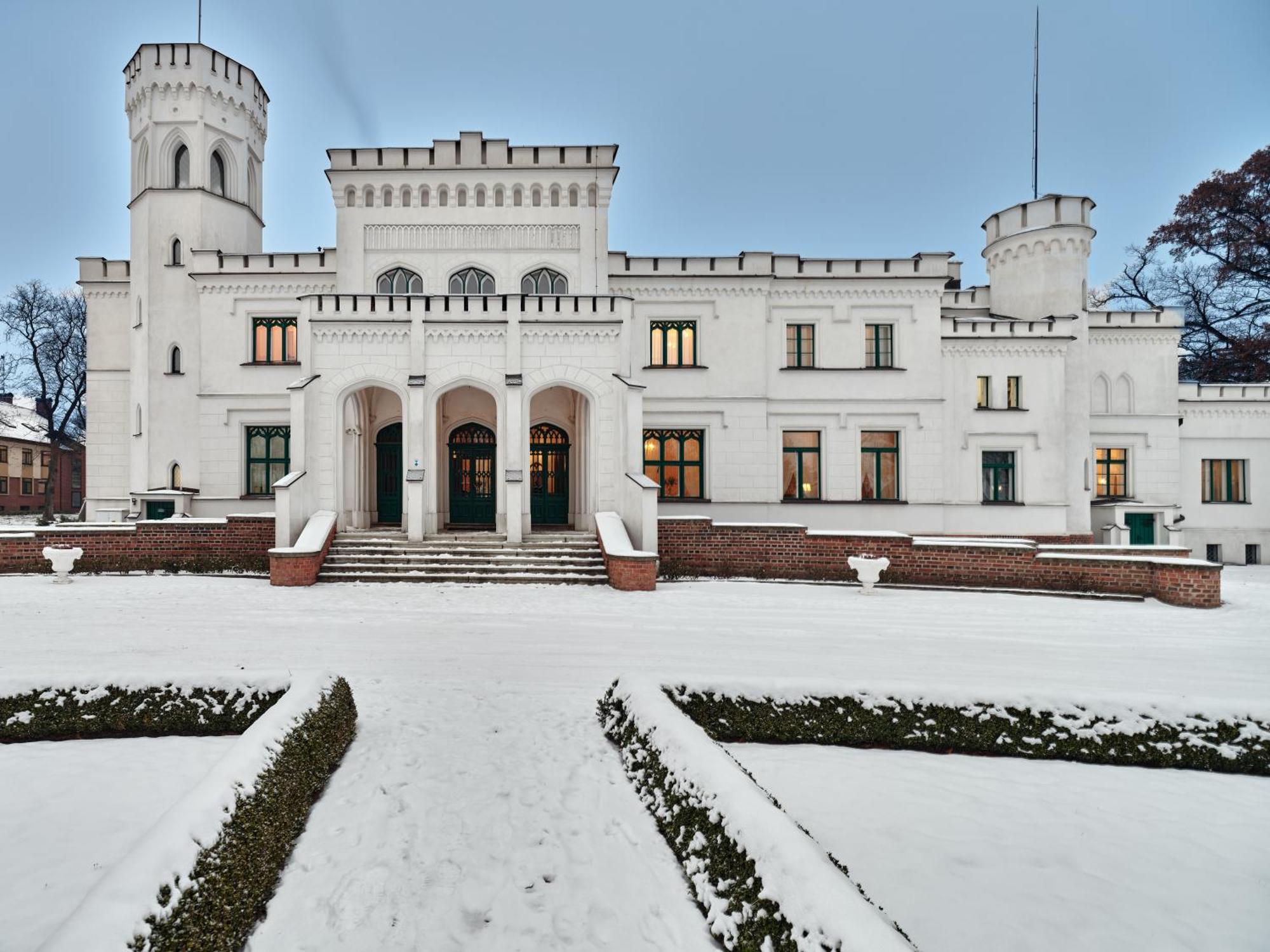 Palac Potockich W Bedlewie Bedlewo Екстериор снимка
