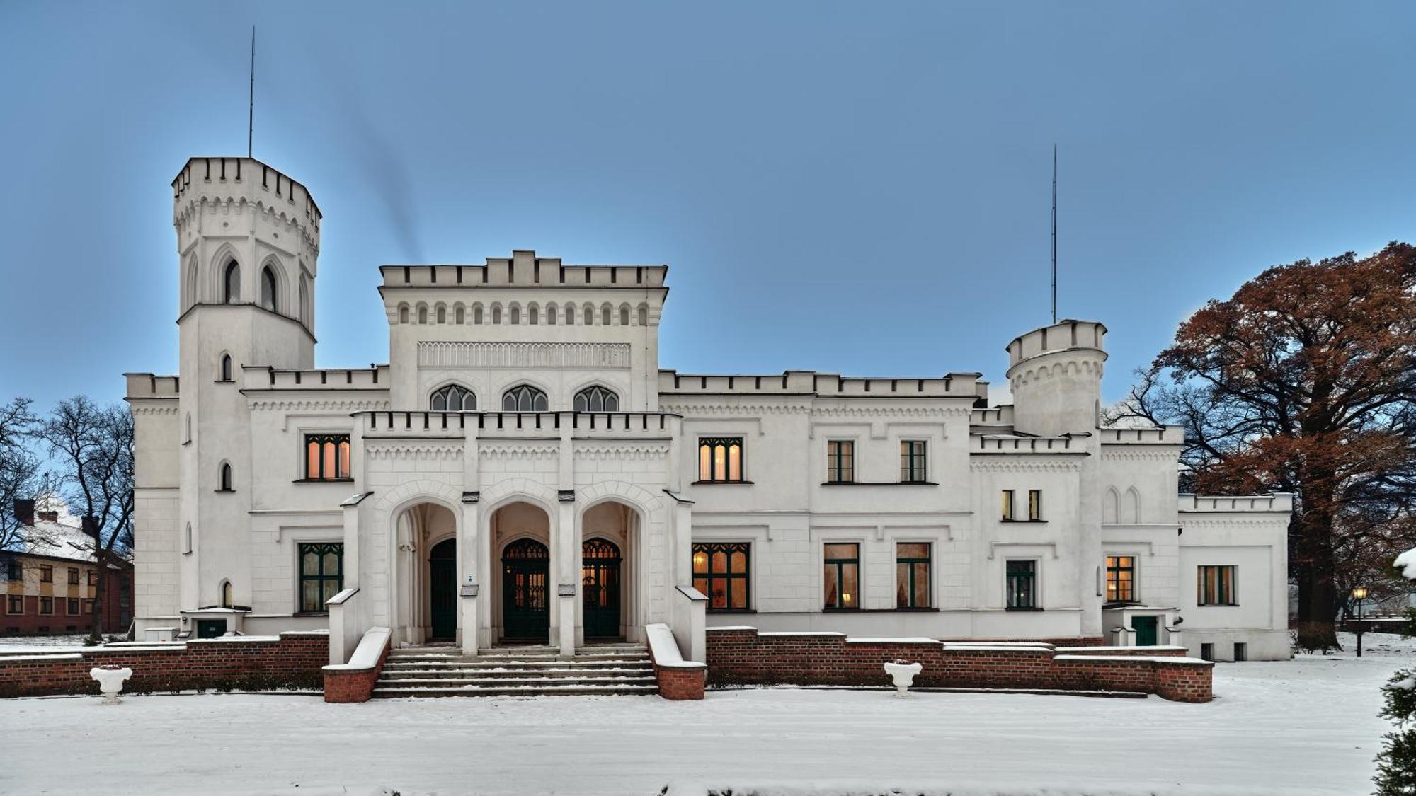 Palac Potockich W Bedlewie Bedlewo Екстериор снимка